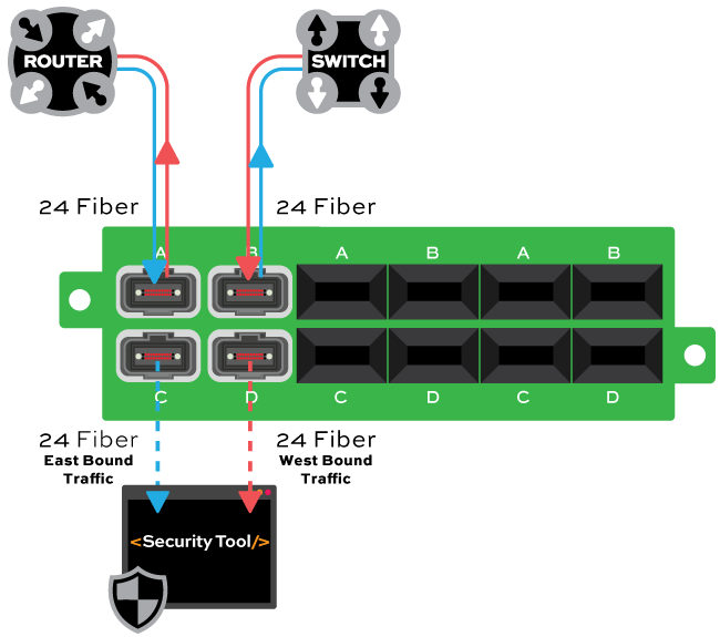 MPT-MPO-24-Fiber